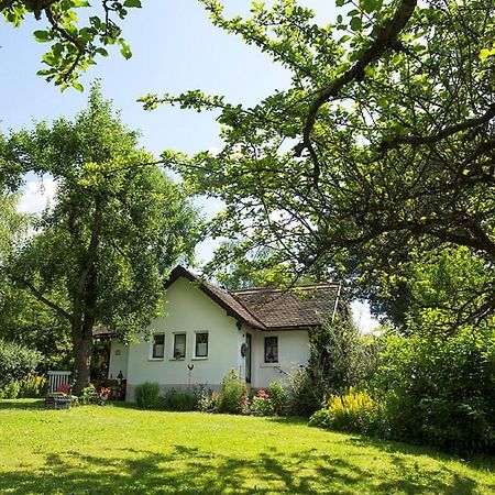 Ferienhaus Am Alten Bahndamm Waldsassen Esterno foto